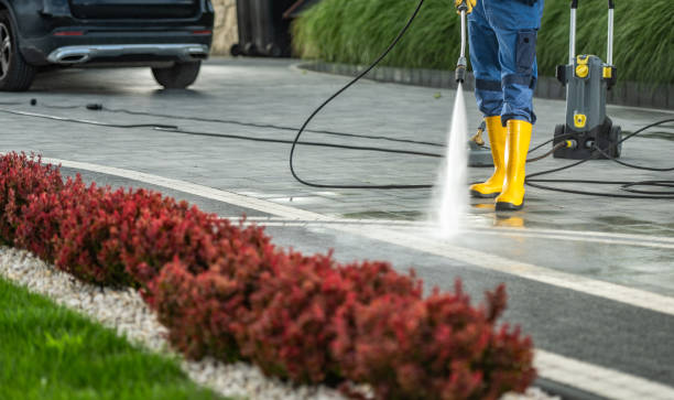 Best Fence Cleaning  in Three Rivers, MI