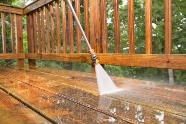 Best Dumpster Area Cleaning  in Three Rivers, MI
